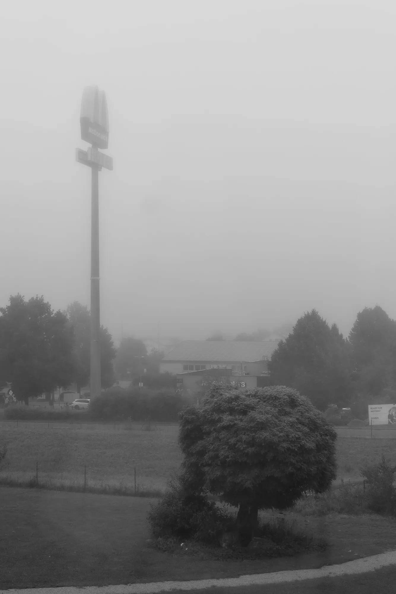 Photo from 2025-09-06