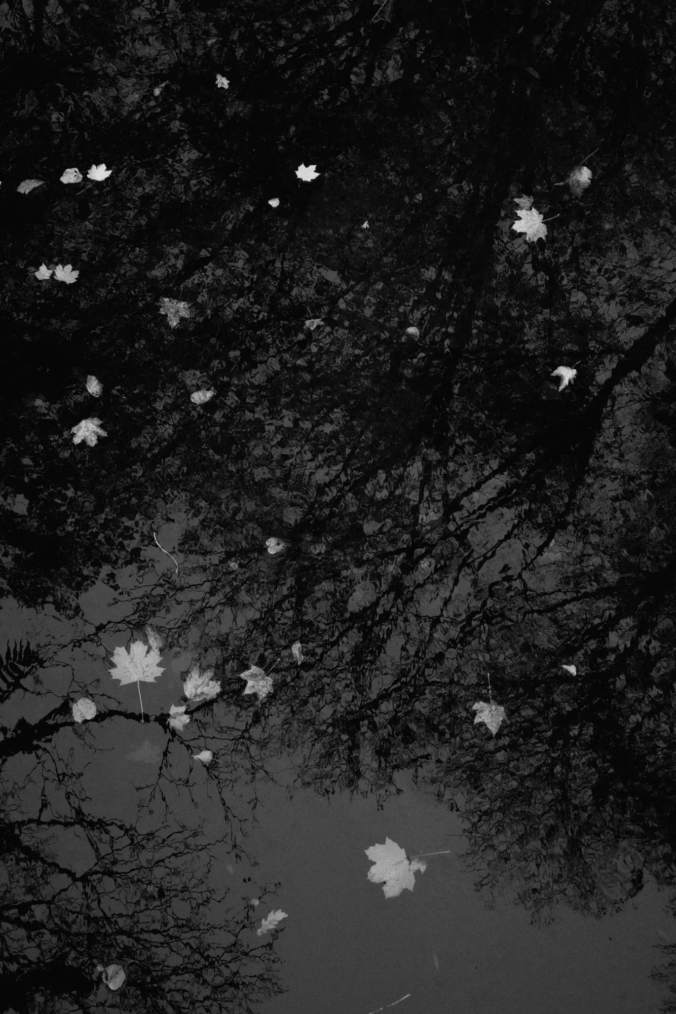 Photo from 2025-10-31