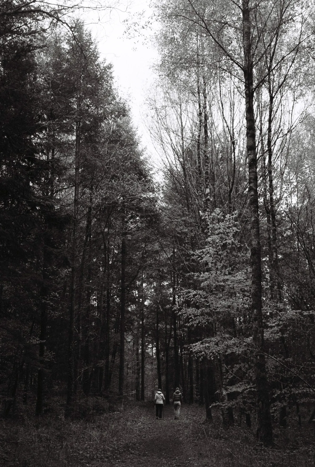 Analog photo with unknown date